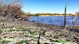 Рыбалка на донки ВЕСНОЙ  ДЕД ЗАБРАЛ ВСЮ РЫБУ