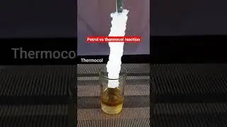 Petrol vs thermocol reaction #shorts