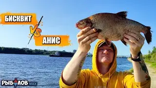 Бисквит или анис? Как не остаться без улова если лещ не клюет. Рыбалка на сильном течении.