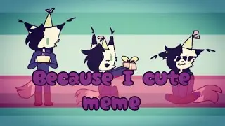 Because I cute // meme // my B-Day!!!!