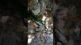 Пересыхающий родник в гоанских джунглях. 