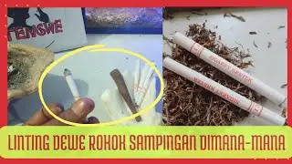 Linting Dewe Sampingan Rokok Dimana - mana #tingwe #tengwe #tembakaurasasurya