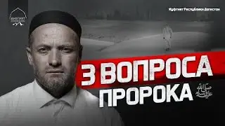 3 ВОПРОСА ПРОРОКА ﷺ | Шамиль Османов