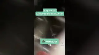 Комары