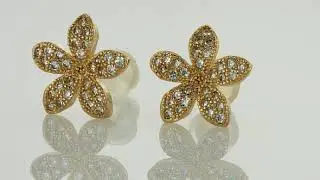 A214 עגילי גולדפילד לנשים –GOLDY