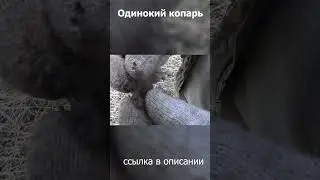 Деус 2 находит вещи! Коп 2023! #shorts