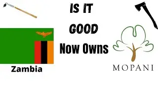 Zambia Now owns  100% Of Mopani