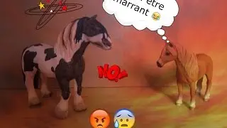 「Schleich Parodie」La Dictée !