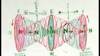 Longitudinal and Transverse Waves in a Kundt's Tube