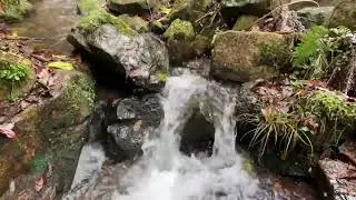 Stream Flowing Through Rocks