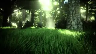 Unreal engine4  forest