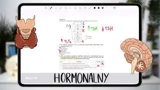 Układ hormonalny - kurs praktyczny, matura z biologii