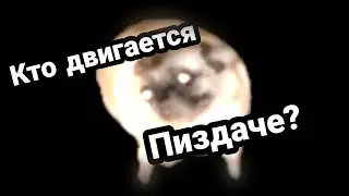 МОПС ФЛЕКСИТ ПОД МОРГЕНШТЕРНА | (Собака Украинское сало танцует)