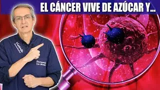 El CÁNCER VIVE de AZÚCAR y… ALGO MÁS!