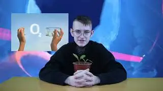 Фильм "Новости"