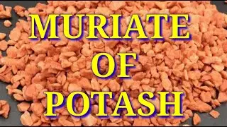 MURIATE of POTASH | How it's Made | Uses | Purpose | Potassium Chloride