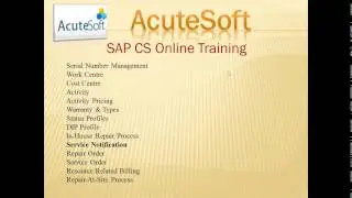 SAP CS Online Training