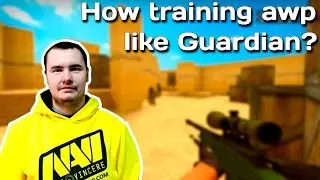 How to  training awp like Guardian