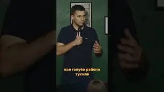 Объявил войну голубям #юмор #standup #стендап #flashstandup #игорьпименов