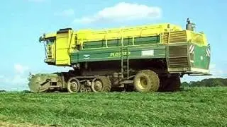 Pea harvest with Ploeger Epd 530