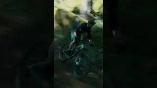 Jordie Lunn XC 2024