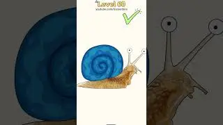 DOP Draw One Part Level 60 61 62 63 64 65 66 67