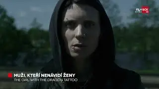 Muži, kteří nenávidí ženy