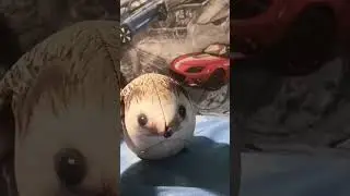 что делать хринобусу