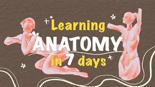 Mastering Gesture Drawing and Anatomy in 1 Week | Beginner 🌱