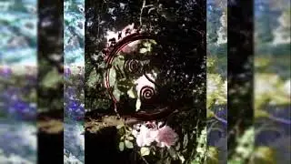 w1tchlxrd & chrov - SHRYNE WORLD [2022]