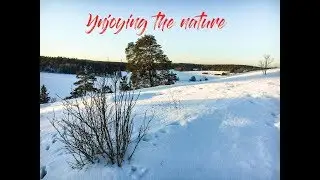 Scenic Road Hunters - Enjoying nature 2019 - winter edition