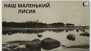 Наш маленький Лисик