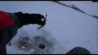 Один на озере .Вся рыба моя! Рыбалка 16.01.2022