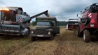 Комбайны Вектор на уборке ячменя