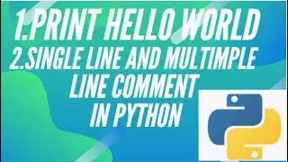 #07 Take Input from users in Python | Single or Multiple Line Comment| Python Tutorial for Beginners