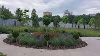 Дизайнерские решения в садовом мире ,,Подсолнух,,