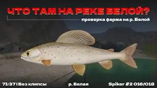 ЕСТЬ ЛИ ФАРМ НА РЕКЕ БЕЛОЙ? Проверка | р. Белая | RF4