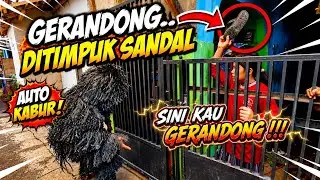 PRANK GERANDONG NGAMUK KELILING RUMAH WARGA ❗❗ KUDA LUMPING BARUDAK CAHYA MADEP 💥 LEMBUR KURING