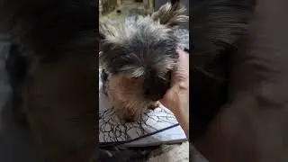 энергетика!!!