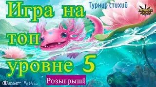 Хроники Хаоса. Игра на топ уровне 5