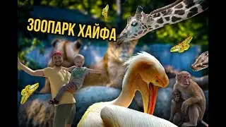 РЕПАТРИАЦИЯ В ИЗРАИЛЬ || ПОХОД В ЗООПАРК ХАЙФА