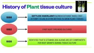 What are tissue culture types in agriculture  What are Plant and Animal tissue cultures?