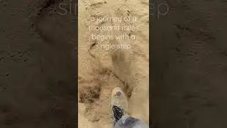 a journey of a thousand miles begins with a single step