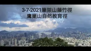 4-7-2021畢架竹林北脊，橫山徑， 藤竹徑 Beacon hill north trail, Kowloon shatin path ,eagle’s nest nature trail