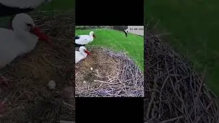 народная мудрость