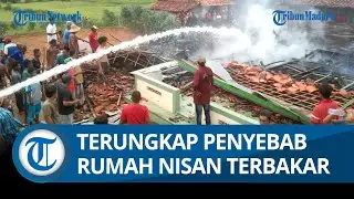 PLN Ungkap Penyebab Kebakaran Rumah Kakek di Pamekasan, Instalasi Listrik Tak Standar Jadi Sebab