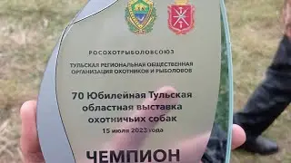 Тула 15.07.2023 русские пегие выжлецы старшая группа.