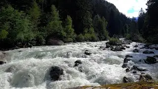 Звуки природы. Бурная лесная река и пение птиц.