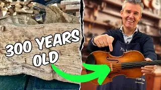 This Violin Is Made from 300-Year-Old Wood!
