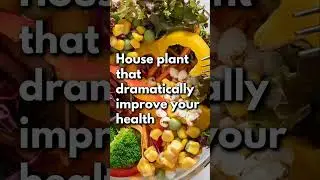 House plant that dramatically improve your health 